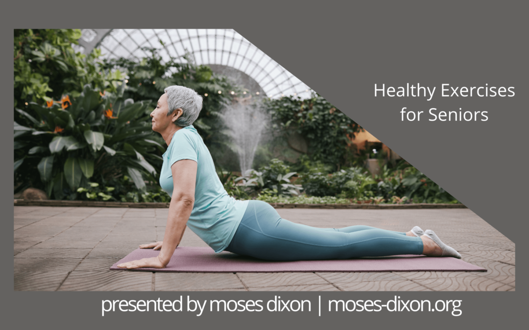 Healthy Exercises for Seniors